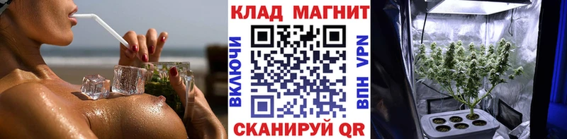 Где можно купить наркотики Судогда Марихуана  Вейп ТГК  Гашиш  СК  Метамфетамин  Мефедрон  COCAIN 