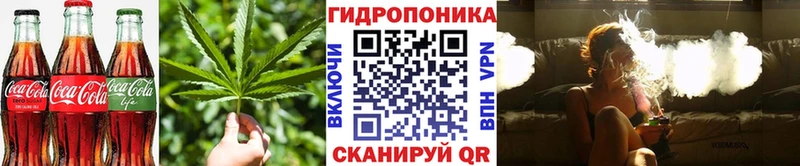Canna-Cookies конопля  Судогда 