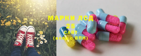 шишки Переславль-Залесский