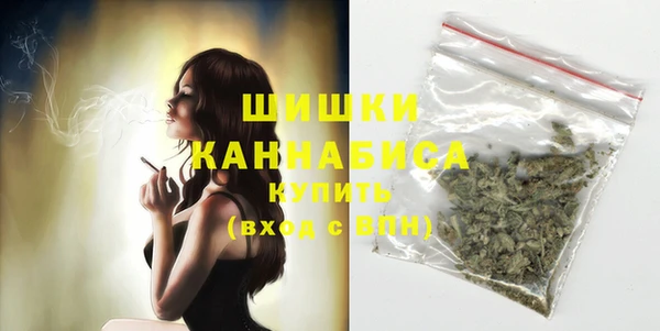 шишки Переславль-Залесский