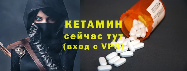 шишки Переславль-Залесский