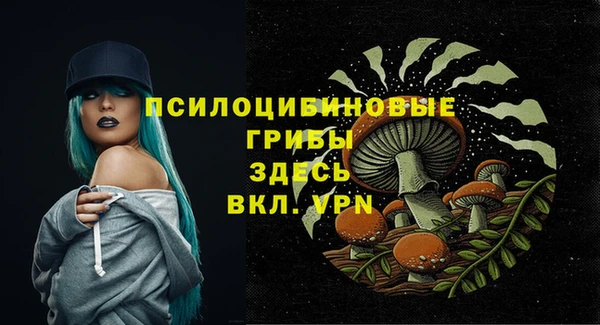 шишки Переславль-Залесский